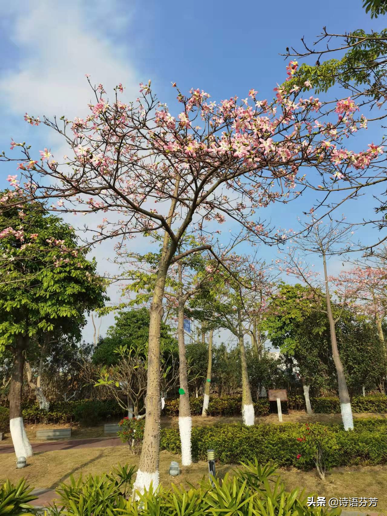 餐饮创业体会艰辛,一个人创业的辛酸经历
