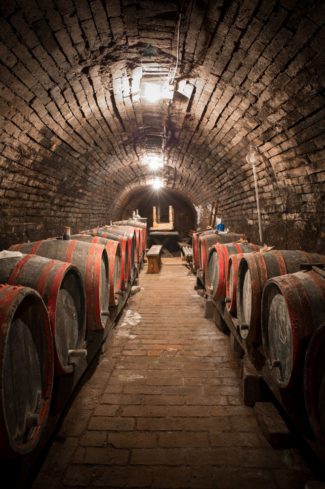 崔老道传奇完整版,崔老道传奇有几部