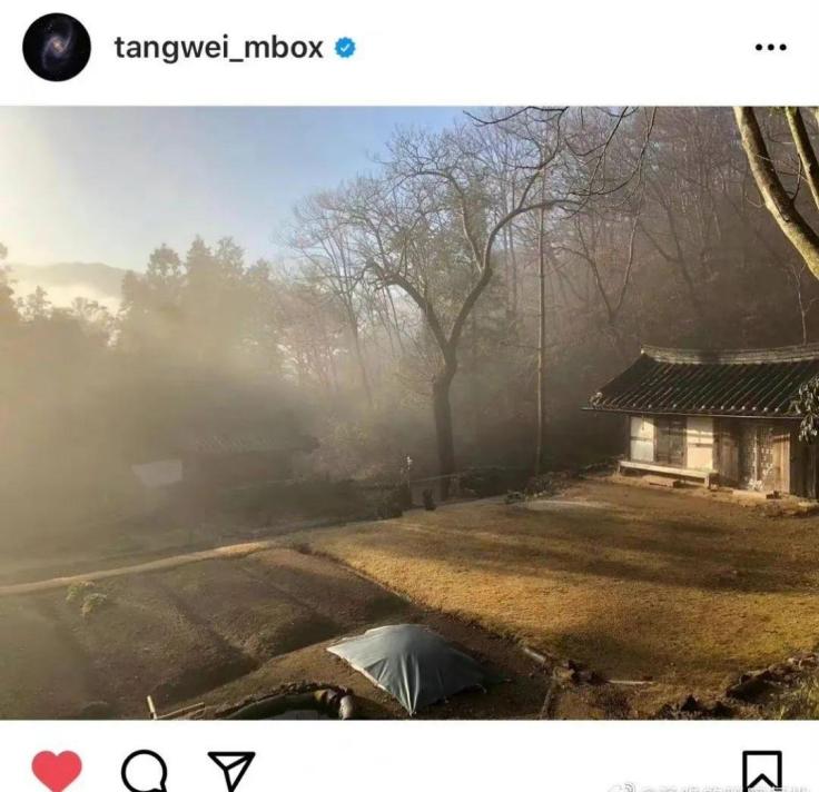 40岁汤唯穿裙子,汤唯穿绿裙长发飘飘