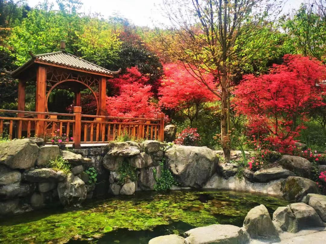 红枫岭有哪些景点,川西红枫岭旅游景点