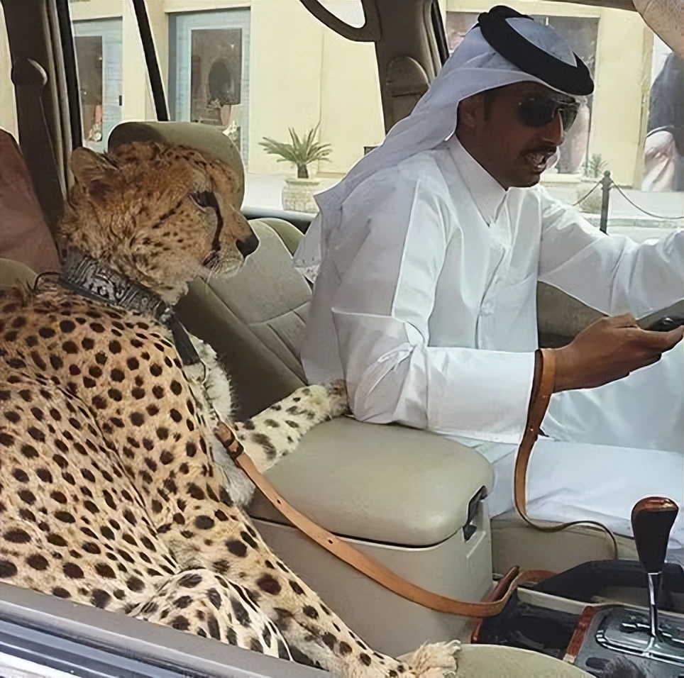 拳皇被收购了吗,拳皇公司