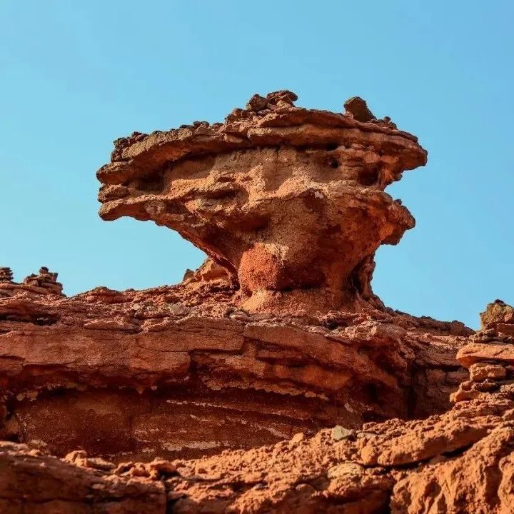 向北向北！|“美”在内蒙古