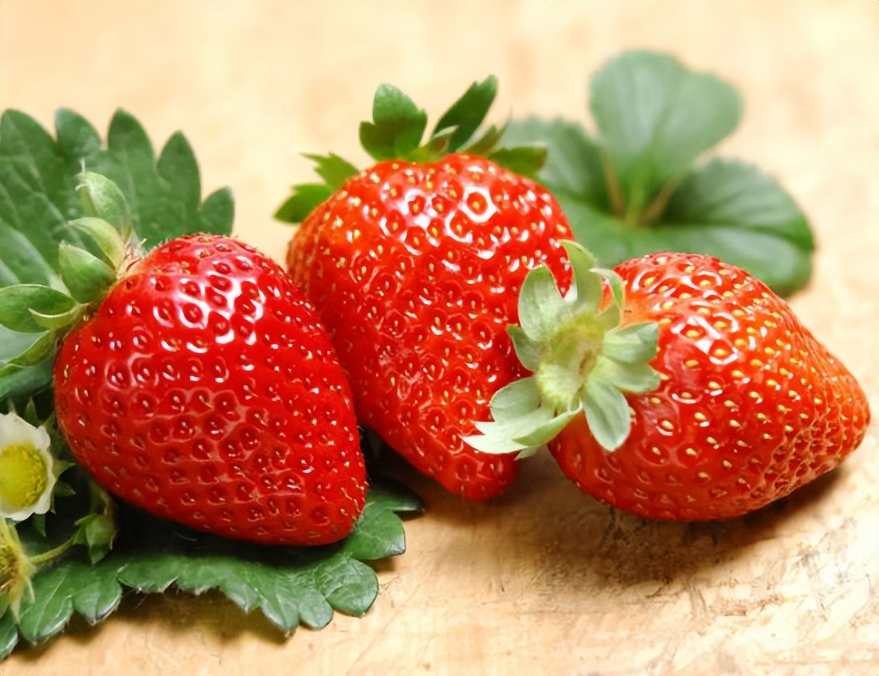 糖尿病吃生大蒜能降血糖吗,糖尿病人吃大蒜能使血糖升高吗