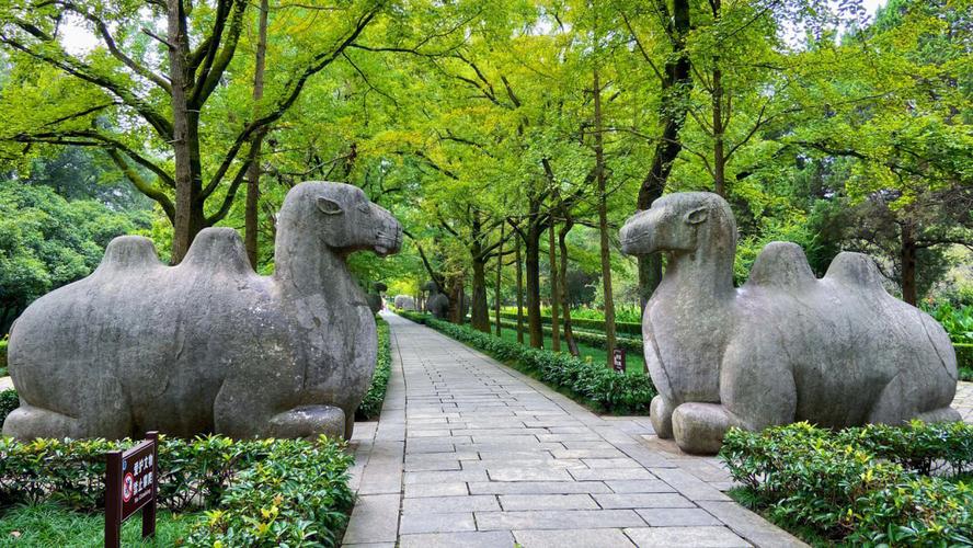 南京六朝古都是哪6个朝代,美丽的六朝古都南京风光无限