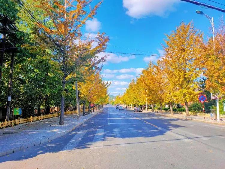 大连旅游必去景点排名亲子,大连冬天旅游必去景点排名