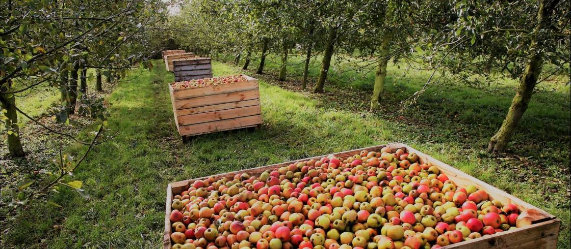 不容错过法国红酒,不容错过的精彩时刻