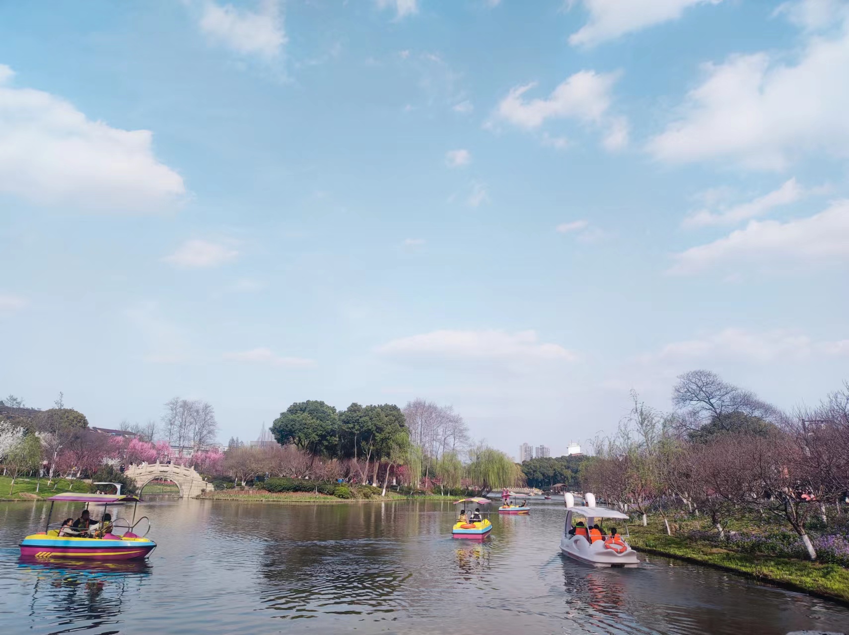 寻找小师妹,寻找小狸猫后的破除结界顺序