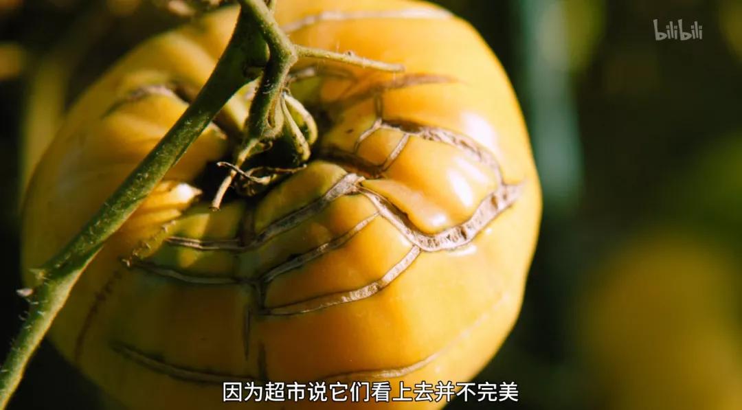 满分推荐！这部颠覆三观的良心之作，绝不该只有300人看过