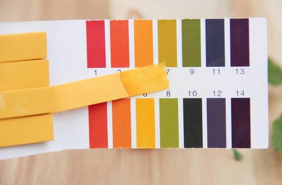 出门后回家应该怎么消毒,菊花的卫生怎么注意