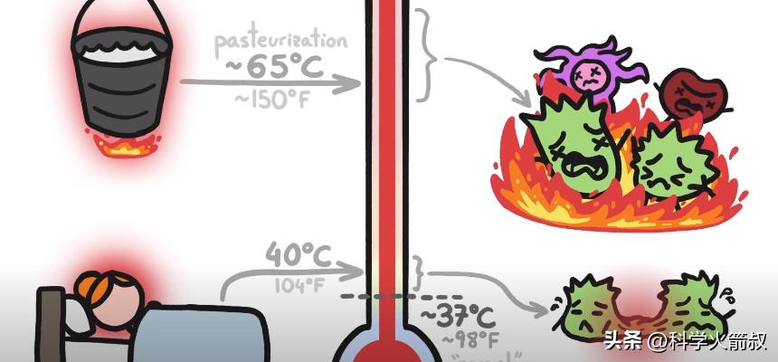 为什么我们会发烧,我们为什么会发烧