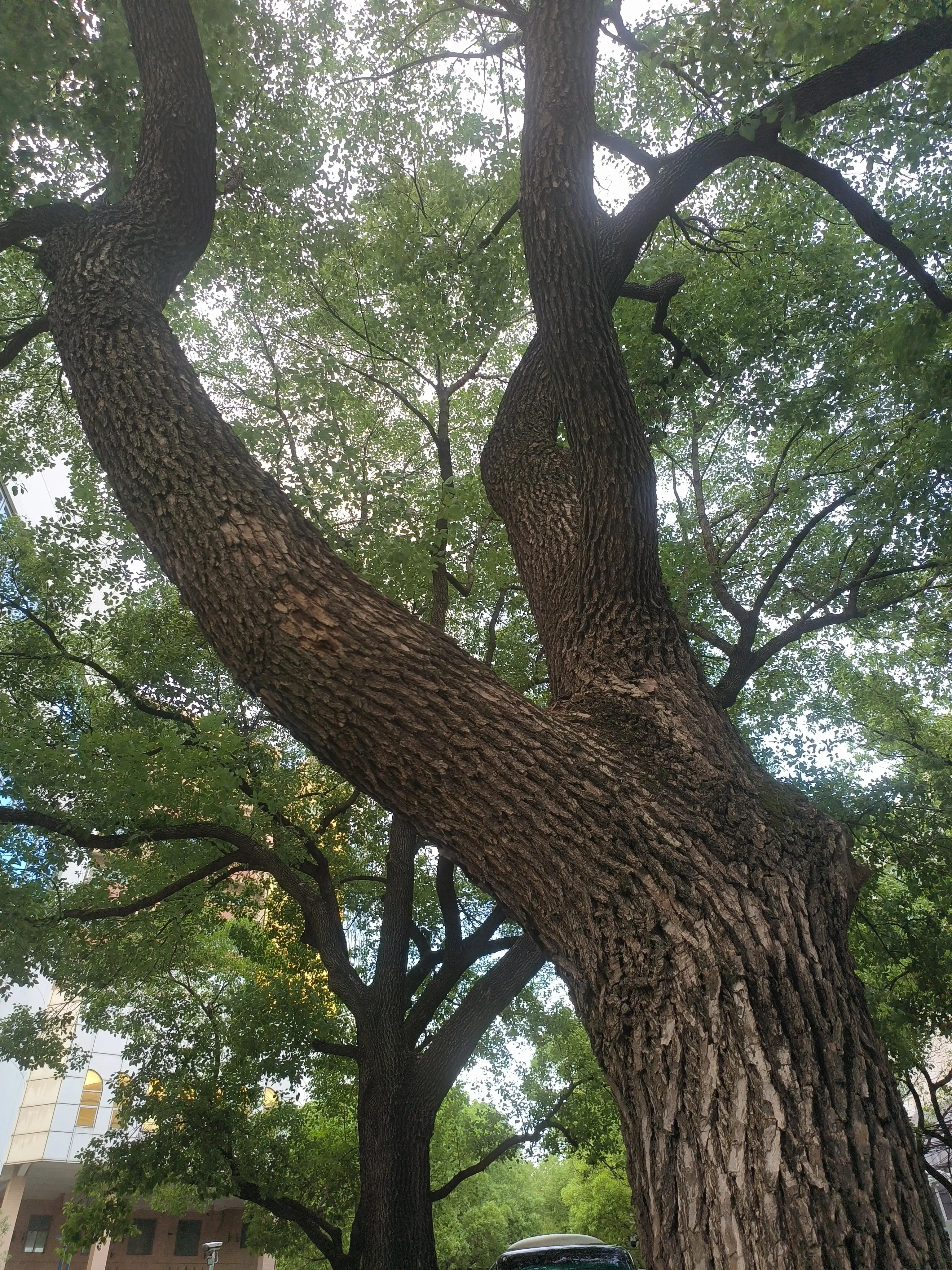 南湖职业技术学院,南湖职业技术学院好吗