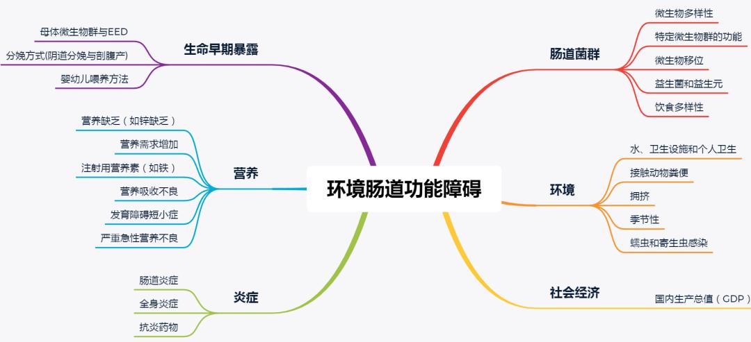 营养不良发育迟缓怎么办,宝宝发育迟缓营养不良不开口说话