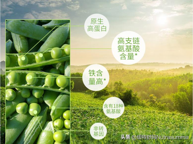 植物基蛋白,植物基蛋白的前景