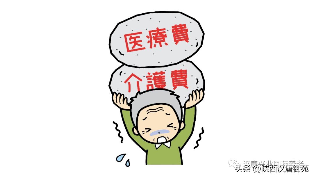 李宁带你了解“日本养老”—5.日本介护保险制度(下)