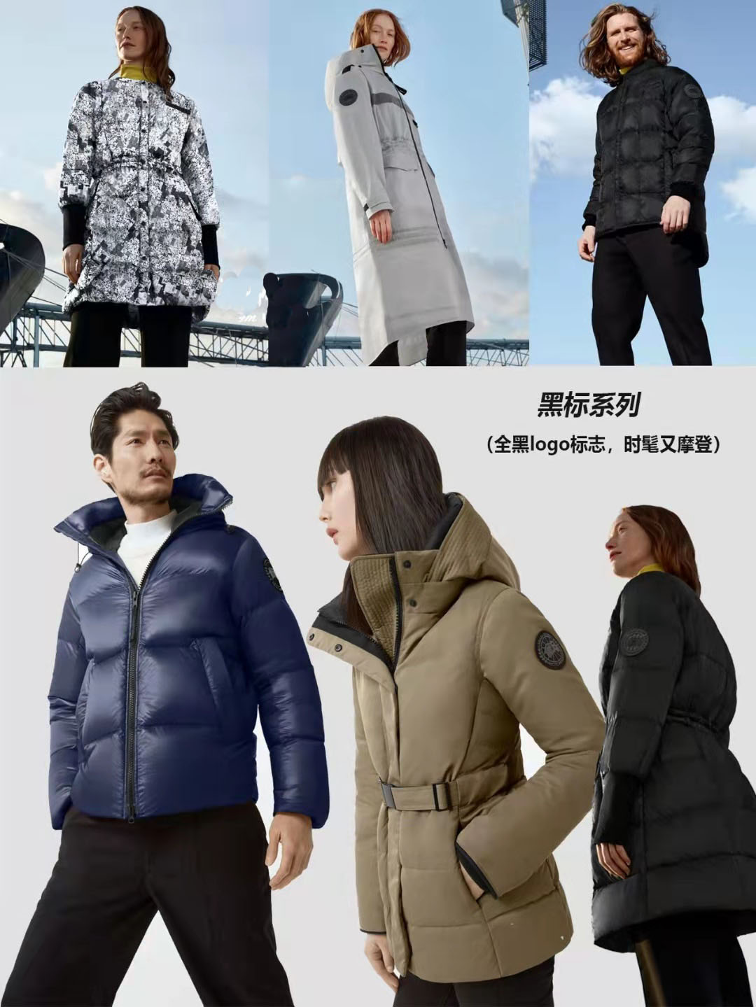 加拿大鹅北面始祖鸟羽绒服,始祖鸟和加拿大鹅哪个高档