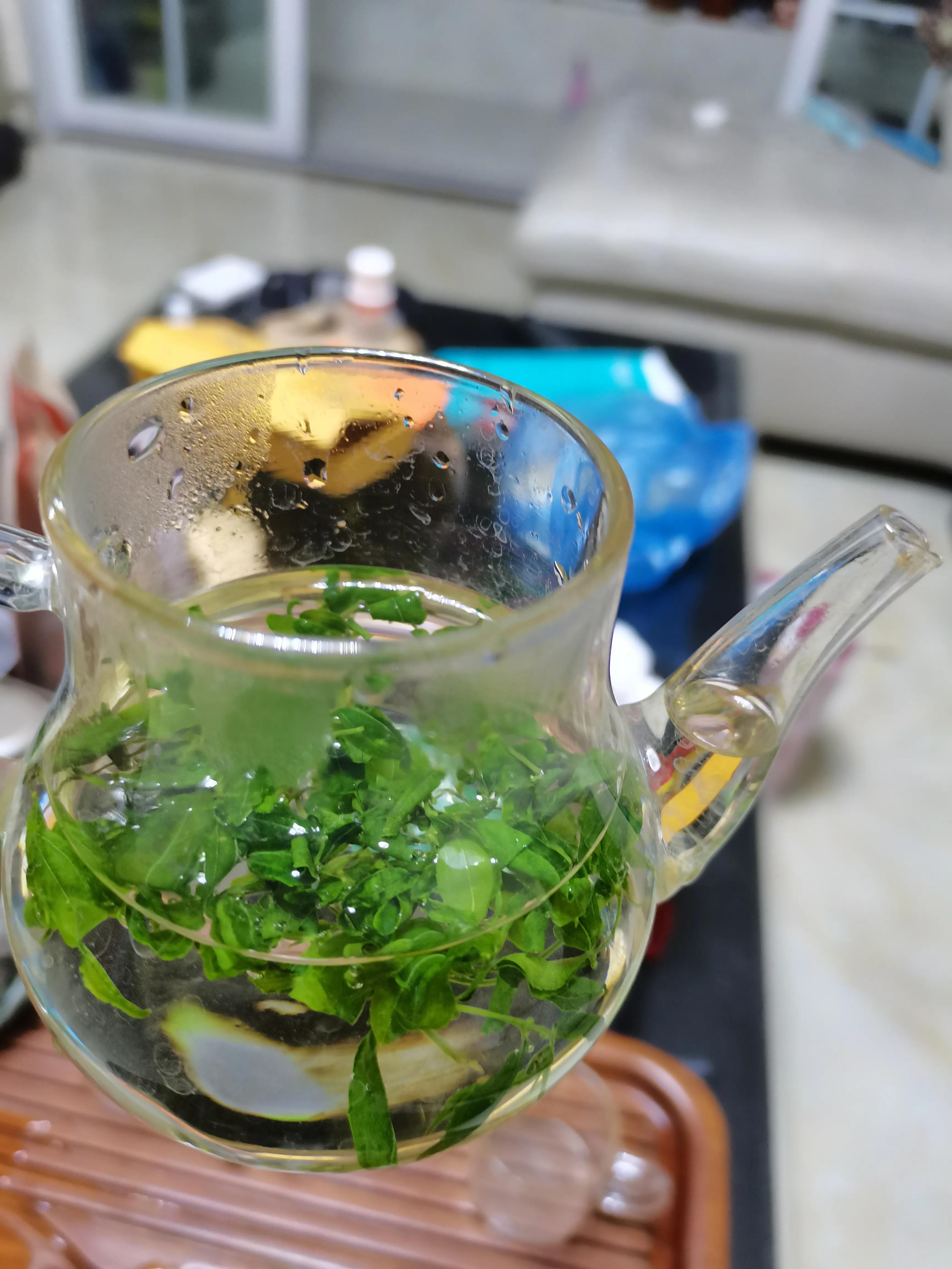 酸枣叶制茶做法,山上的野生酸枣叶可以采摘做茶吗