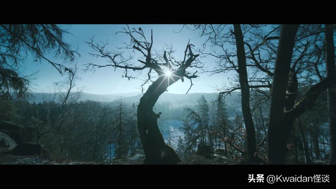 2022年最值得看的国内十部电影,2022年9月值得看的电影排行榜