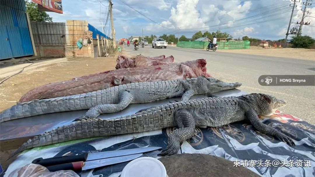 柬埔寨卖肉,柬埔寨路边摊