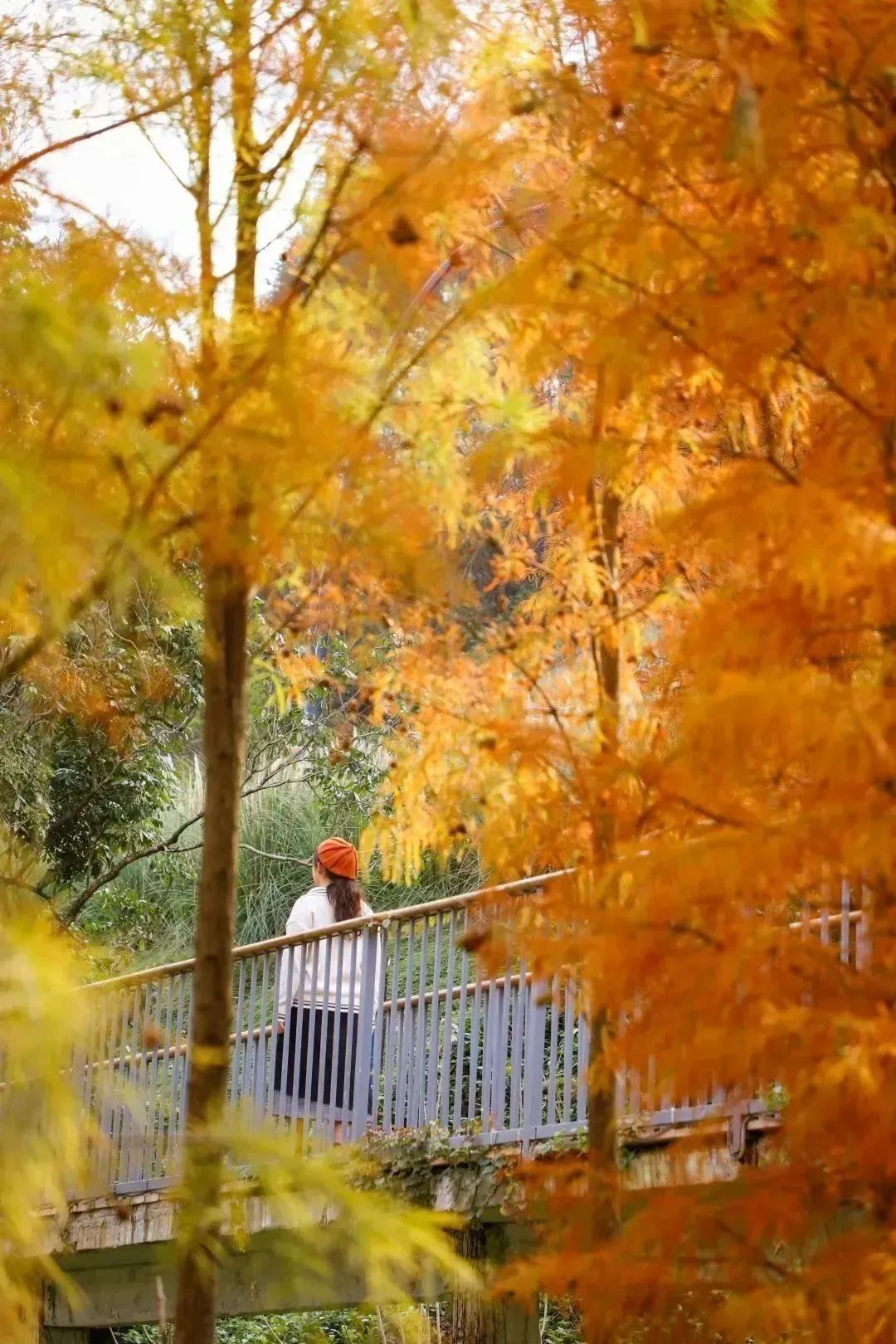 从化天人山水二日游,从化天人山水一日游攻略