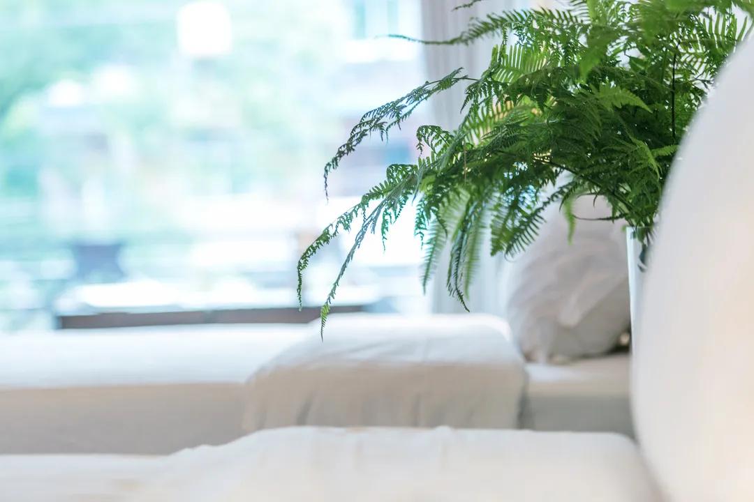 莫干山川野特色民宿,莫干山民宿亲子游烧烤