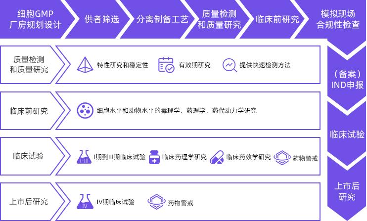联合移植器官有哪些重点,同种异体胰岛细胞疗法