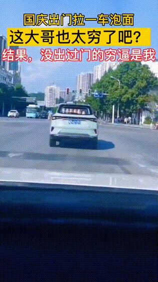 每日gif搞笑趣图,每日gif