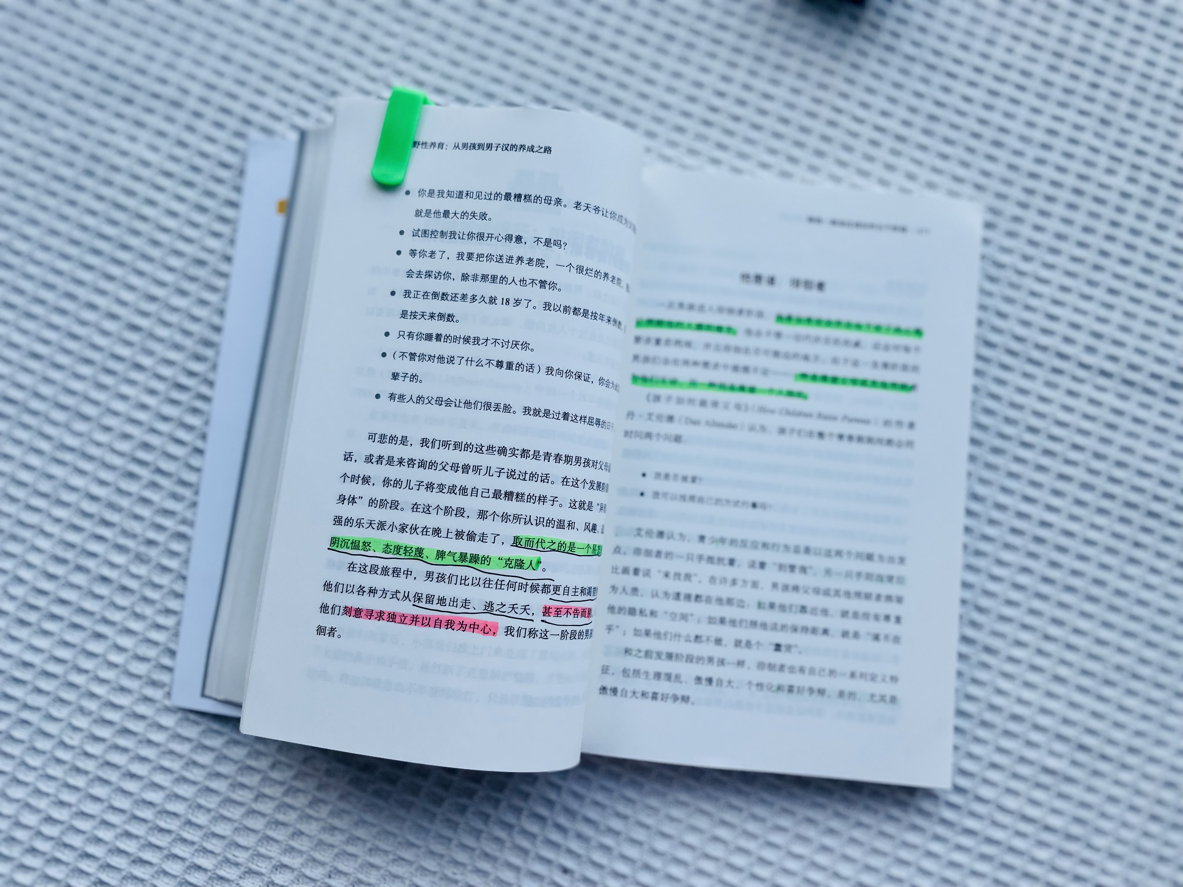 男孩养育大忌是什么,养育男孩3个关键期