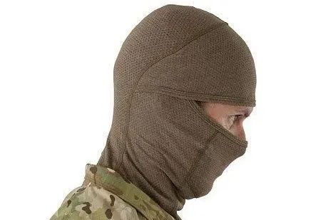 虎年说虎科普视频,虎年说虎运用了哪些说明方法