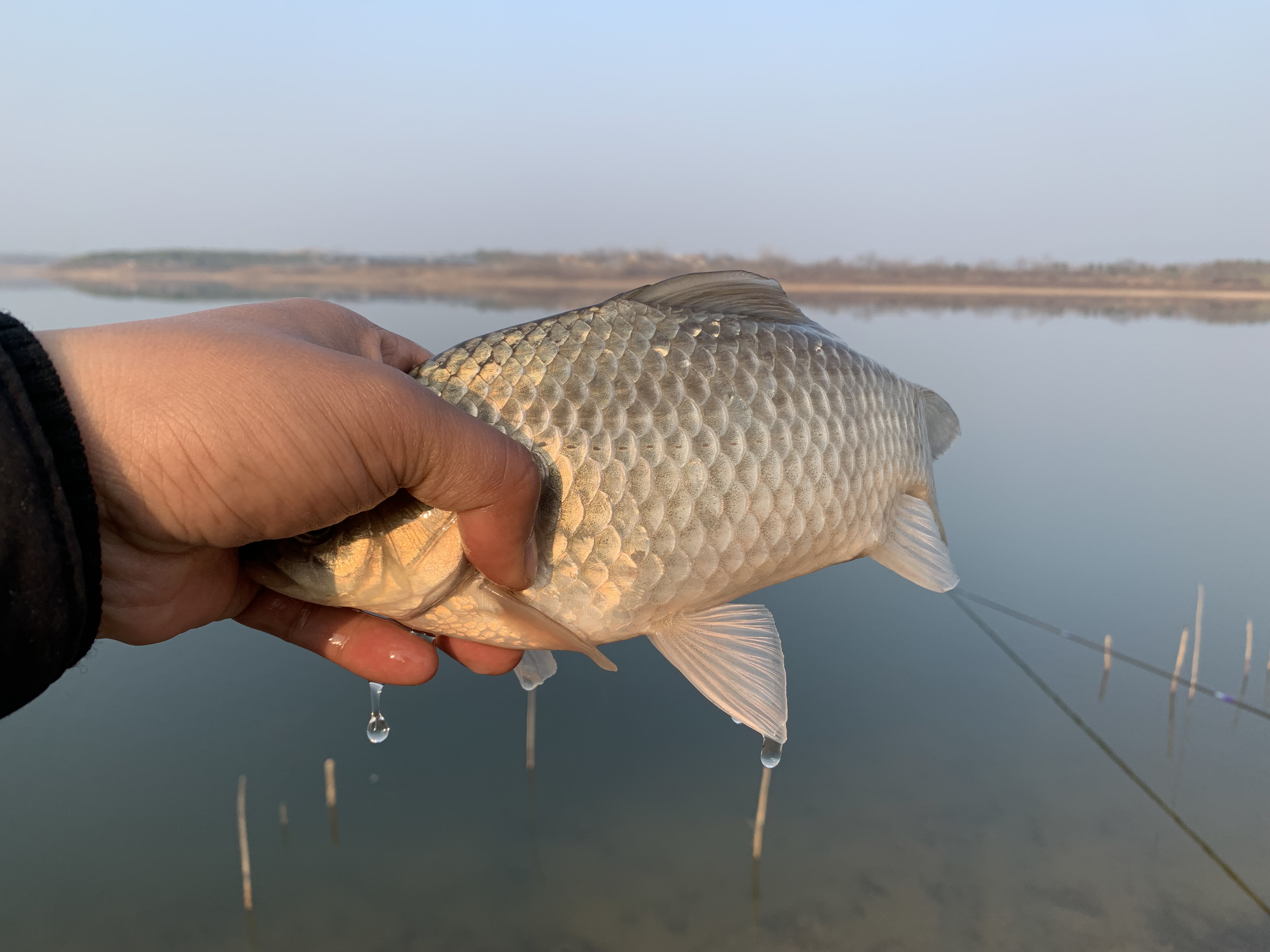 七星漂看不见动作,长竿七星漂看不清怎么办