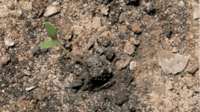 96岁还在奔波工作，这老爷子做出了今年9.8分神片