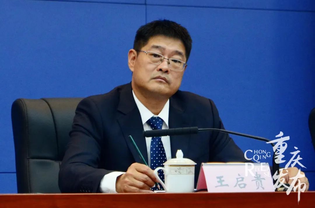 巴味渝珍城口老腊肉,正宗老腊肉重庆城口特产