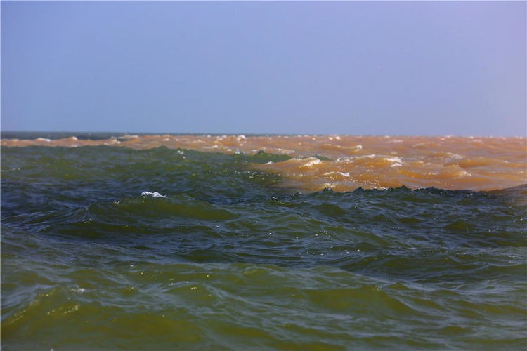 散文▏董建盛：黄河入海流