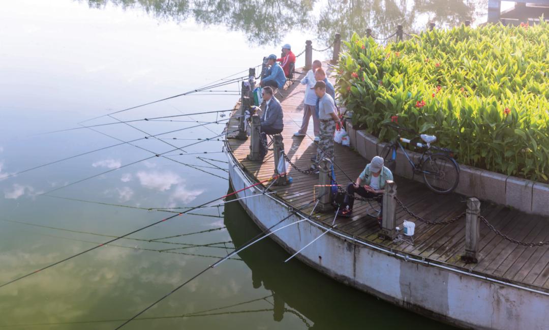 翘嘴用饵作钓口诀,翘嘴鱼拟饵