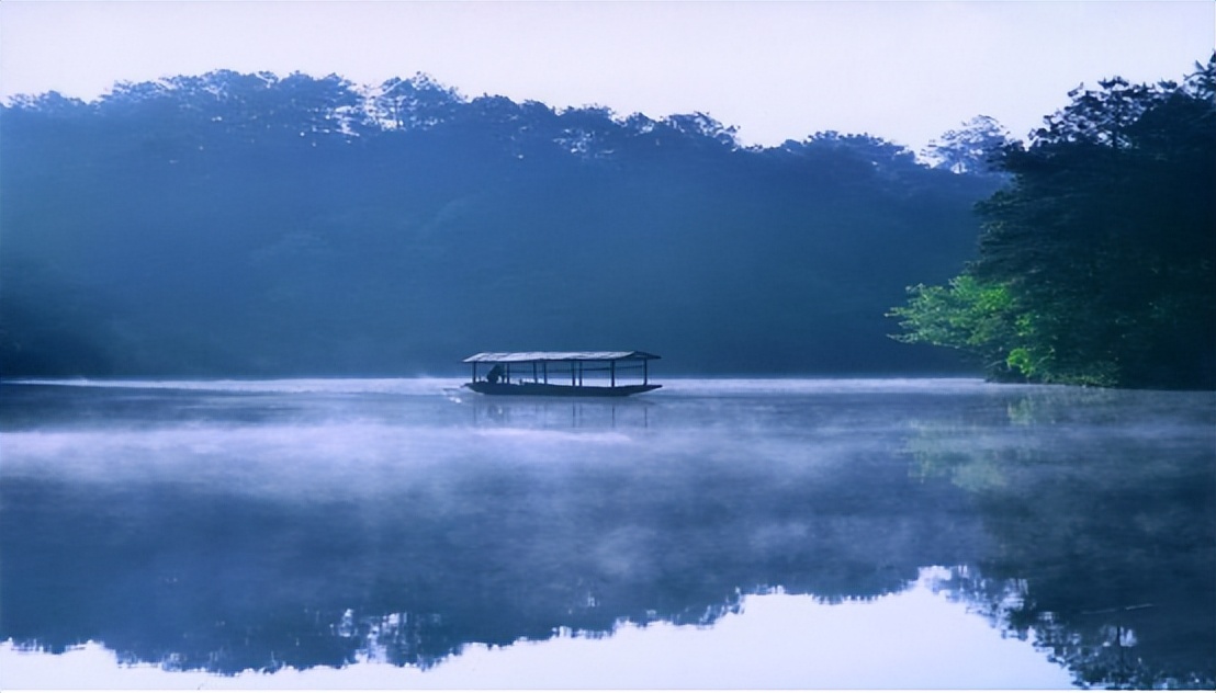 四川蒲江茶叶基地,四川百亿级大县