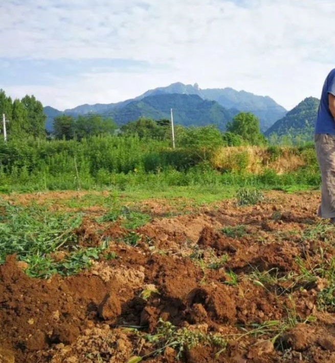 三不照的制作过程,三不照