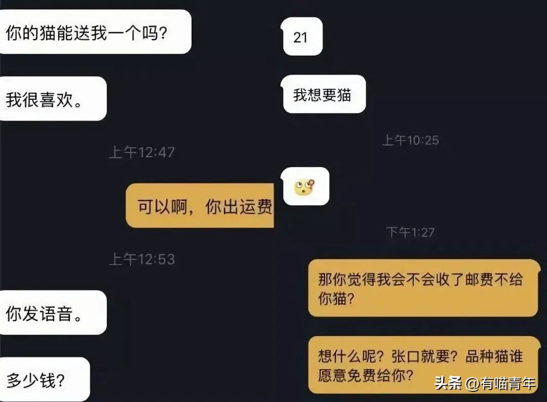 免费领养一只品种猫，猫死后强行要我买猫粮，赔3000