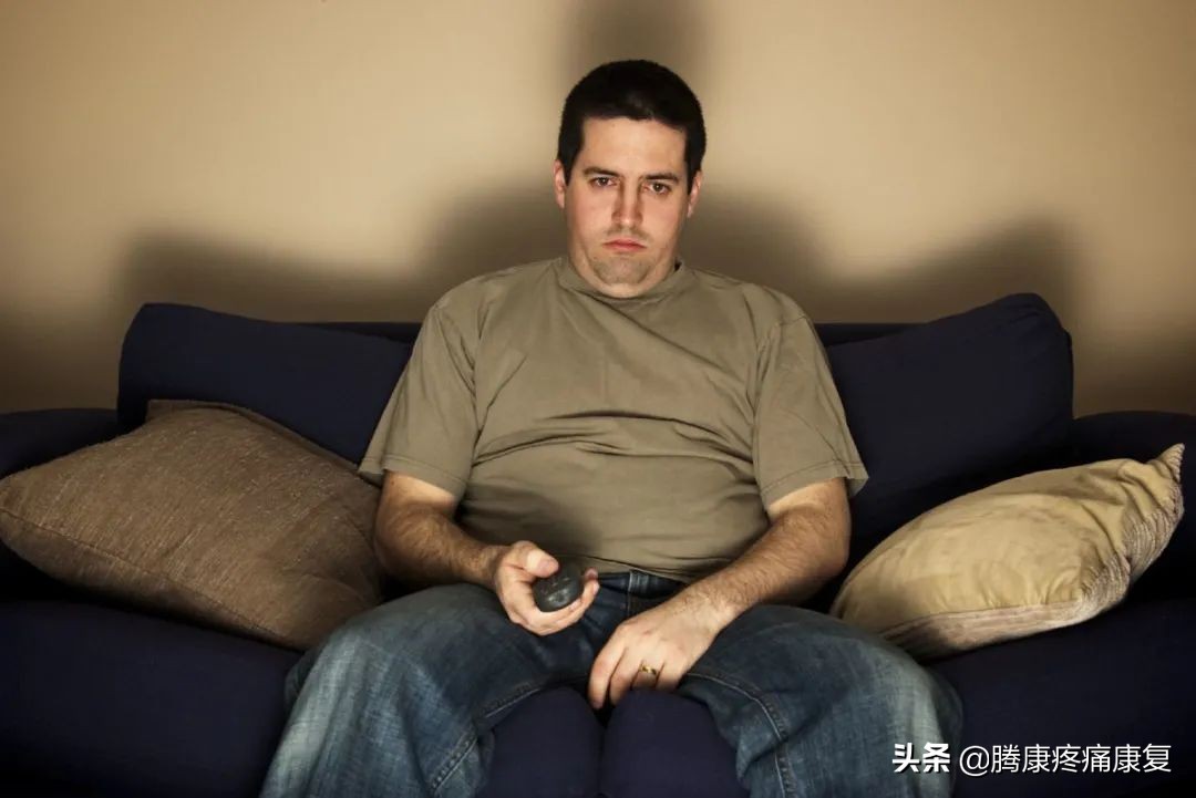 最新运动指南实锤,高效又轻松的运动指南