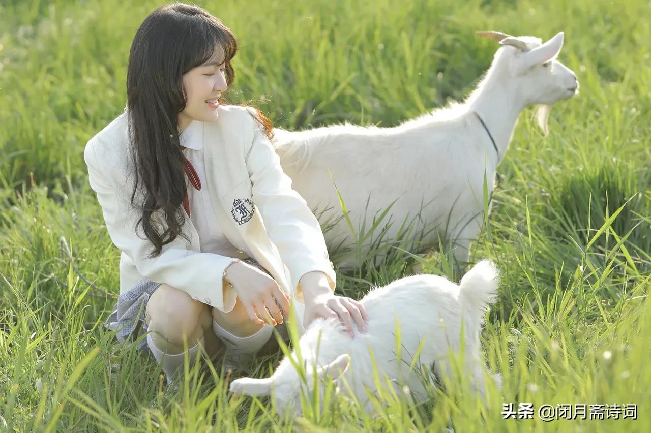 七律遣怀二十首诗,七律雪夜遣怀