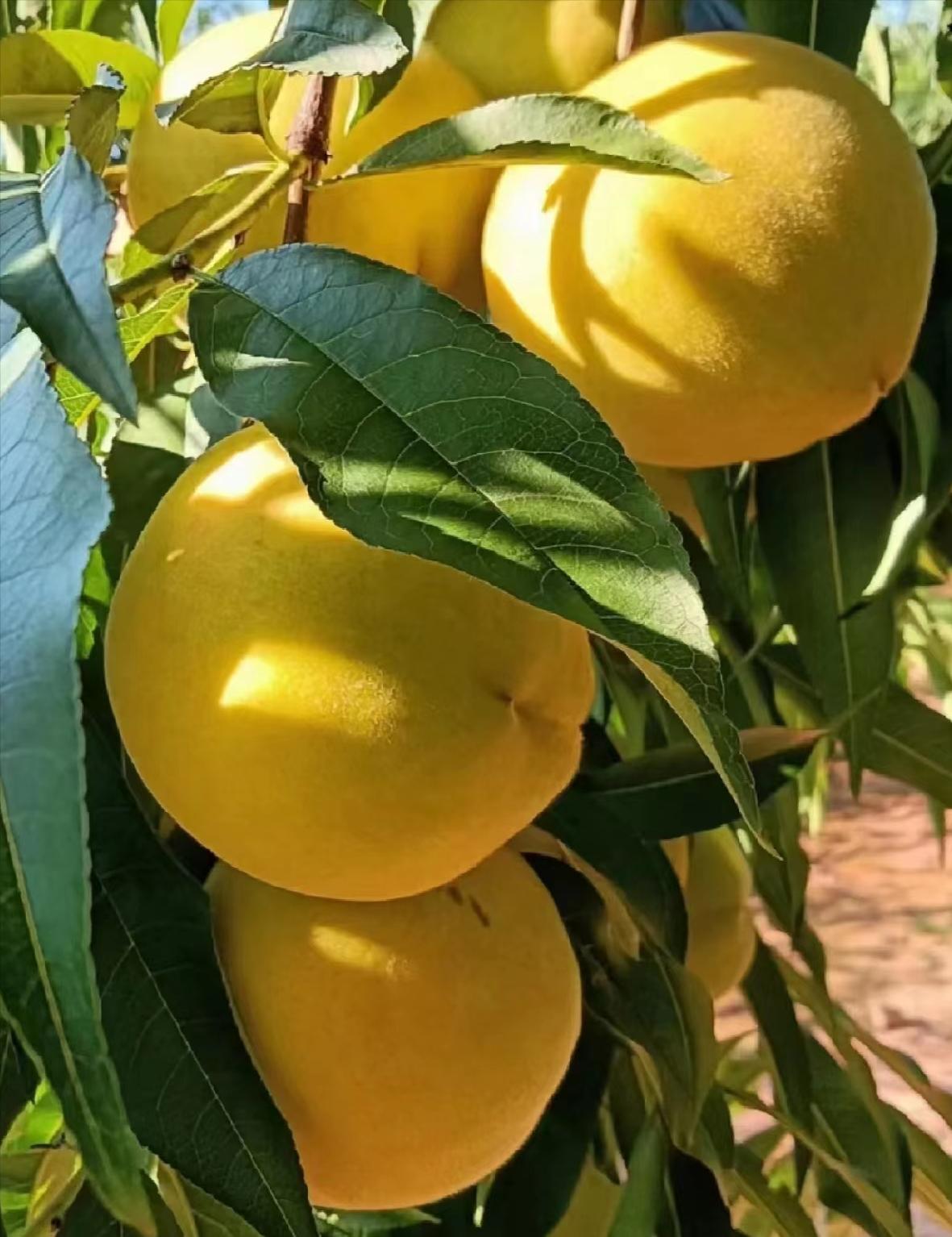 天津春天亲子徒步旅游路线推荐,天津户外徒步一日游推荐