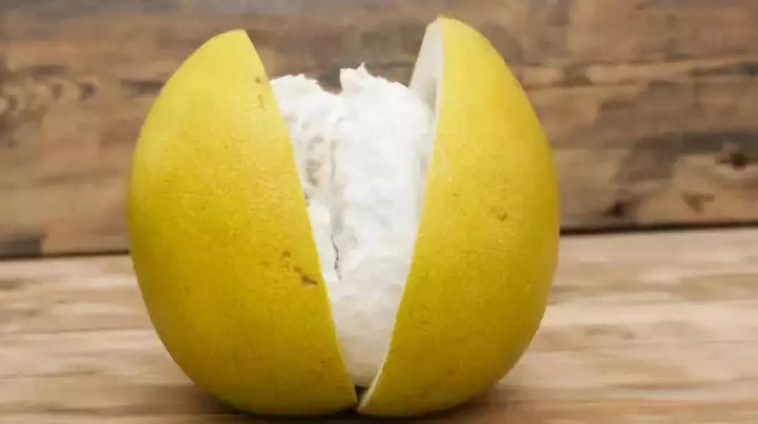 如何去除甲醛真实除醛经历分享,现在除甲醛最先进的方法