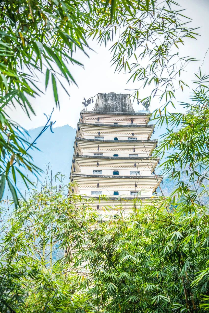 褰窞鐧介箍灏忛晣闇嶆牸娌冭尐,褰窞闇嶆牸娌冭尐