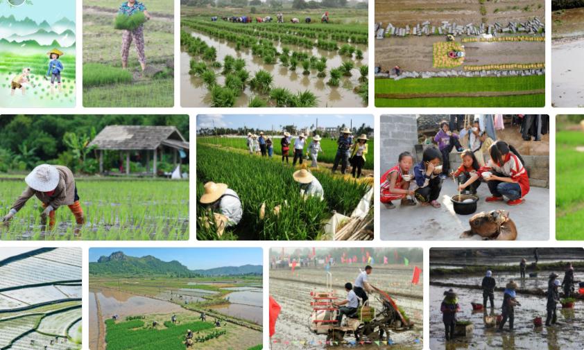 奶制品补钙是否正确,奶制品是补钙的最佳选择