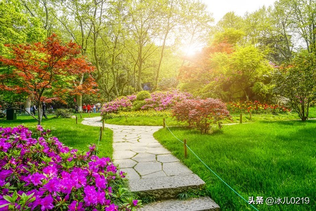 有一种美好叫做清新的夏天,夏天永远是一个充满心动的季节