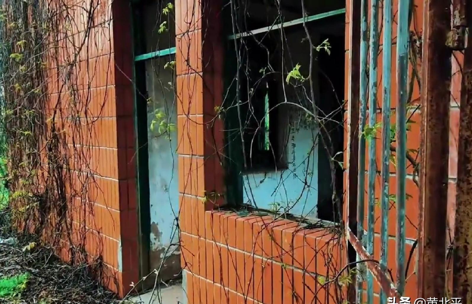 广西鹿寨县英山,鹿寨县中渡镇英山柴油机厂