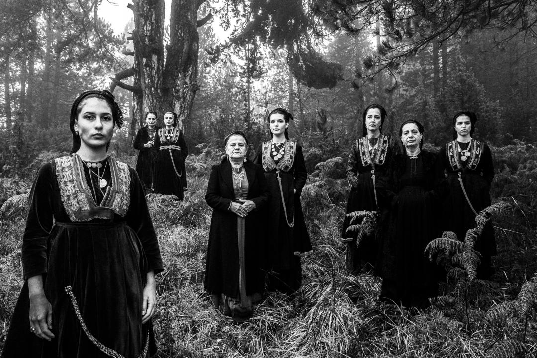 2022索尼摄影大赛征稿,2022索尼世界摄影大赛