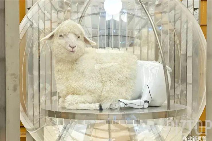 购物中心怎么创新服务,购物中心如何创新营销