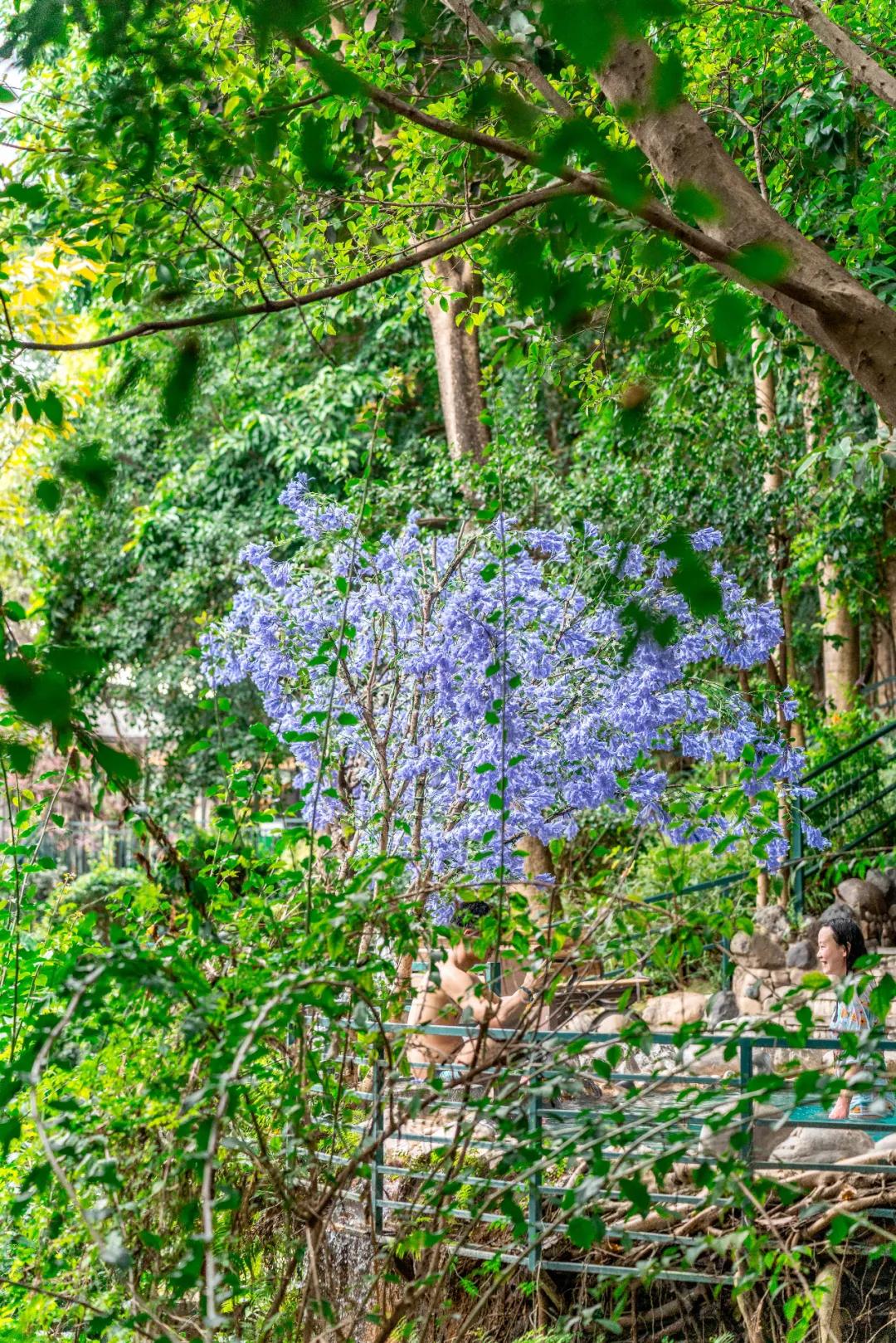 云南天下第一汤温泉,云南藏起来的人间仙境