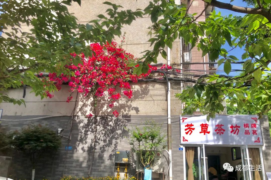 成都有特色的老街,成都最酷的老街