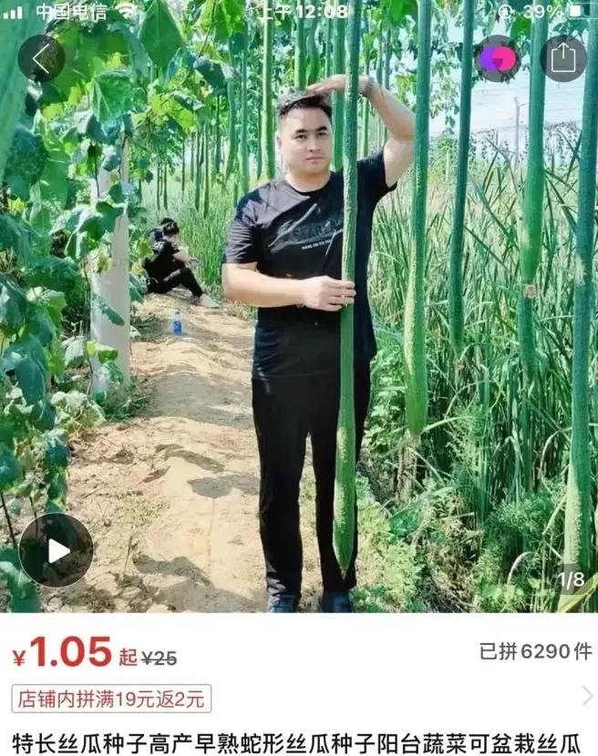 拼多多举报淘宝事件,拼多多盗用淘宝图会被投诉吗