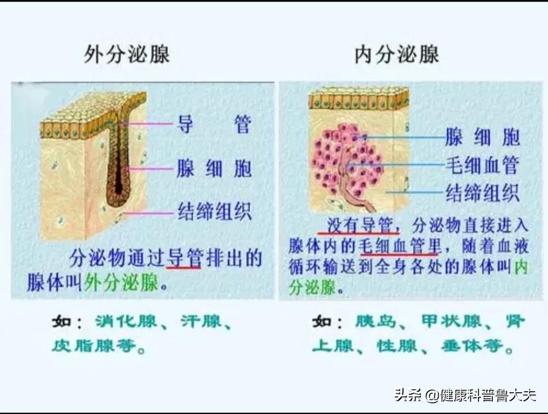 遭罪的干燥综合征，不妨试一试灸法，说不定柳暗花明又一村